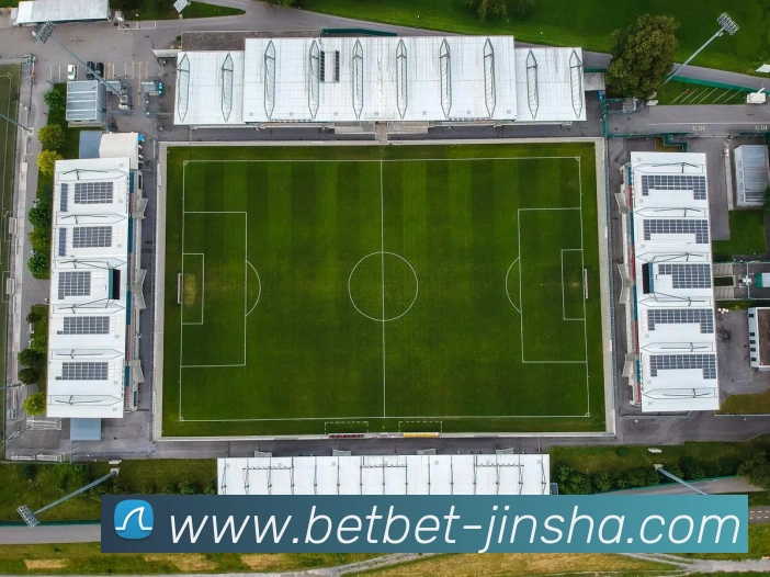 App Interface Preview